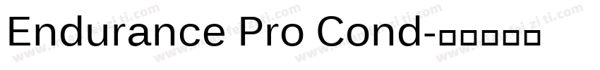 Endurance Pro Cond字体转换